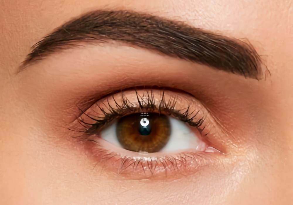 Cejas
