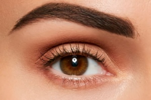Cejas